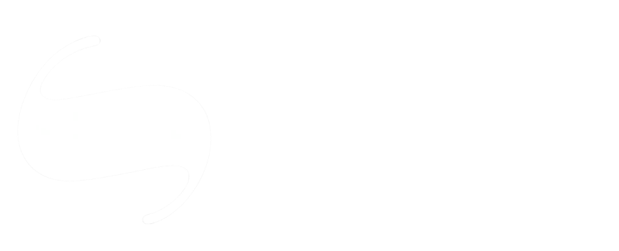 Workshop Vision